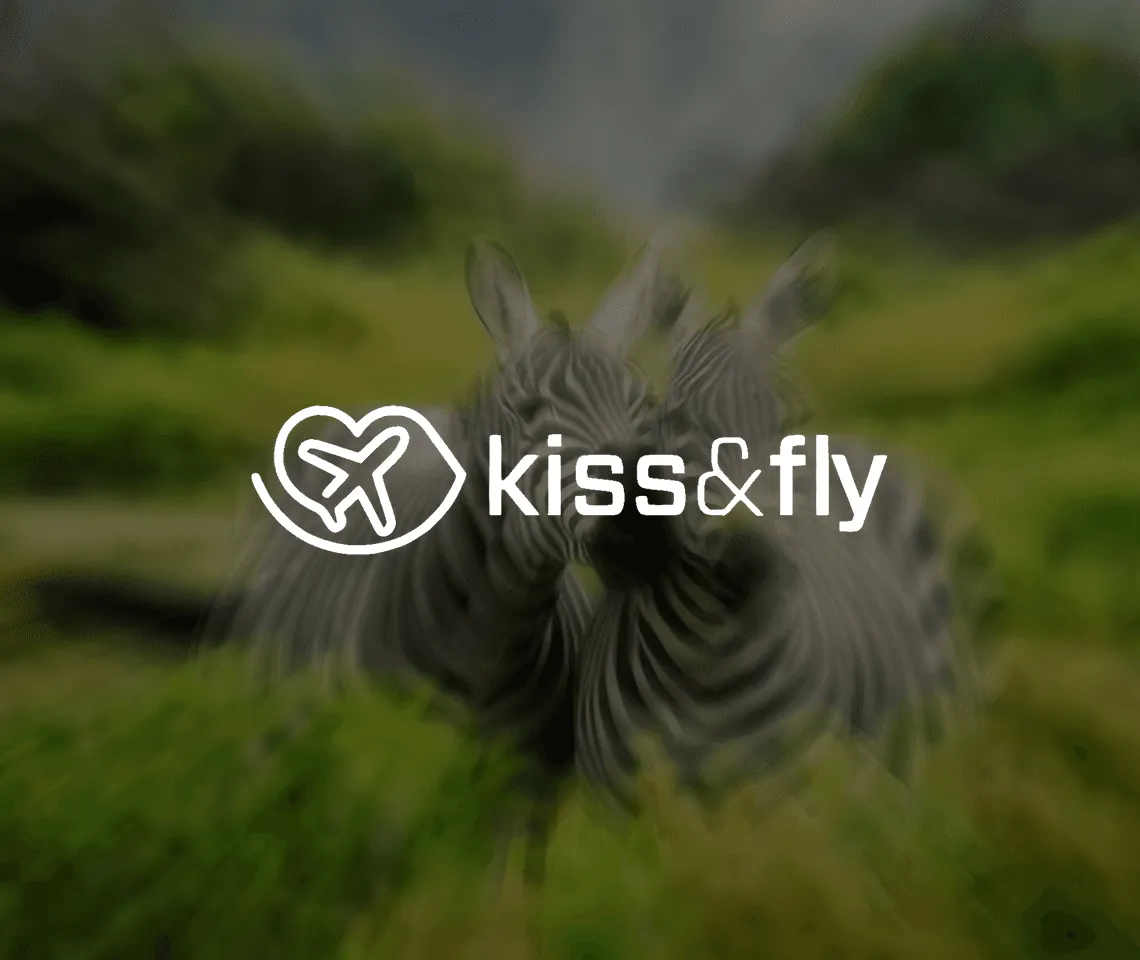 Kiss & Fly consulting website in Drogenbos